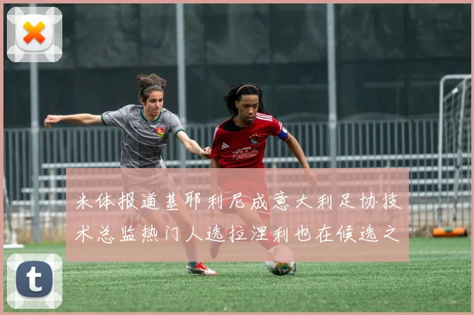 米体报道基耶利尼成意大利足协技术总监热门人选拉涅利也在候选之中